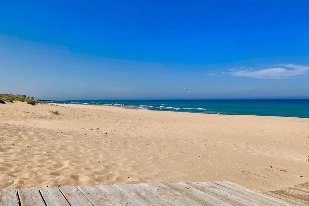 Azul Beach By La Mata Beach Torrevieja Ngoại thất bức ảnh